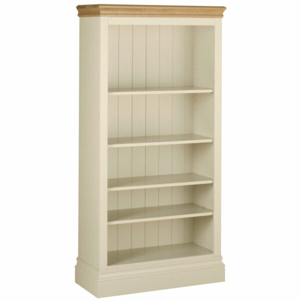 Lundy Painted 5' Bookcase